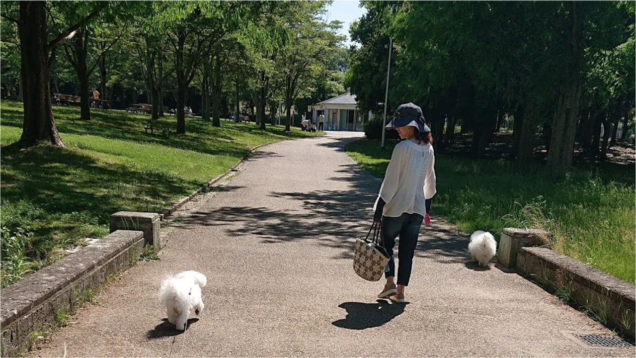 犬の散歩は大切