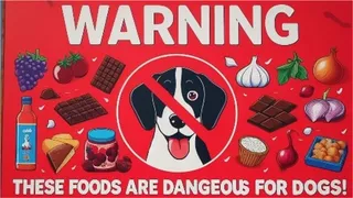犬にとって危険な食べ物