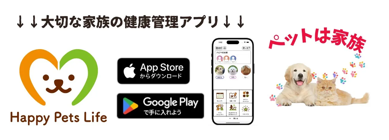 クレートは安心できる場所