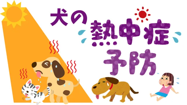 犬の熱中症予防