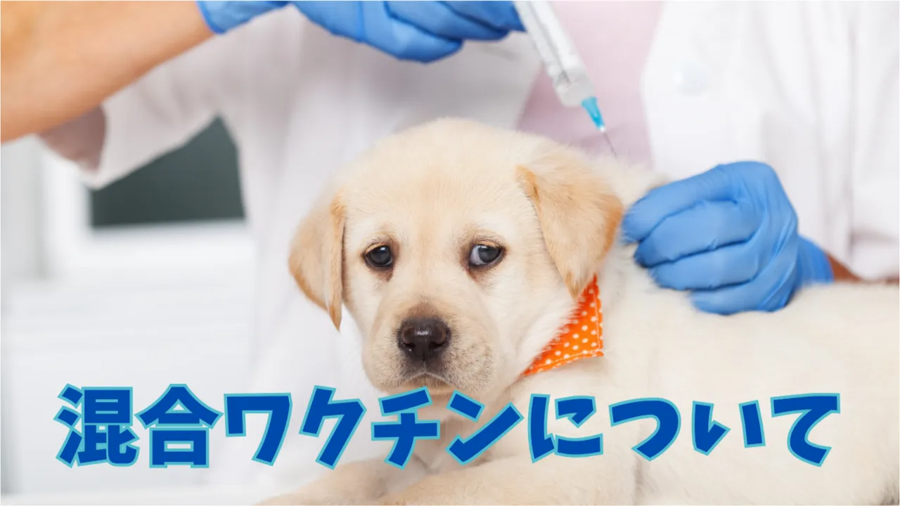 混合ワクチンについて