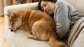 【犬の行動学】なぜ顔じゃなくてお尻？愛犬が「お尻ピトッ」とくっつけて寝てくる究極のツンデレ心理