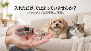 【入れただけで安心していませんか】犬・猫のマイクロチップ登録情報の更新と、迷子札・鑑札の見直し