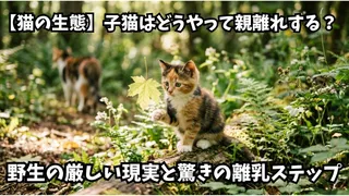 【猫の生態】子猫はどうやって親離れする？野生の厳しい現実と驚きの離乳ステップ