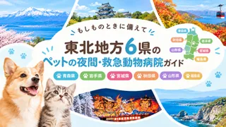 【東北版】青森・岩手・宮城・秋田・山形・福島　ペットの夜間・救急動物病院ガイド｜もしものときに備えて