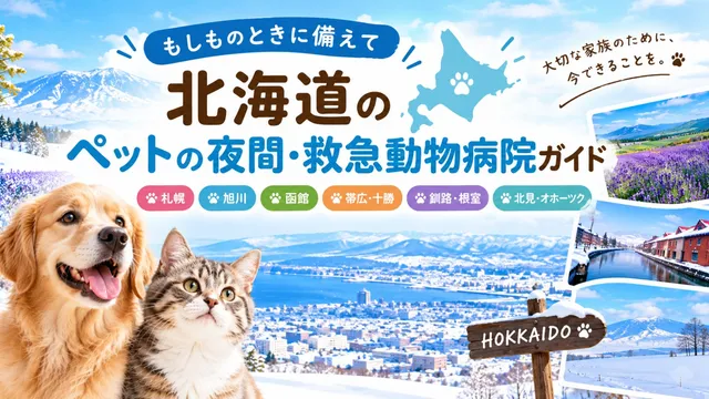 【北海道版】ペットの夜間・救急動物病院ガイド｜もしものときに備えて