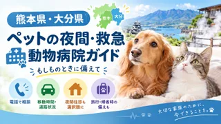 【熊本県・大分県】九州中部版　ペットの夜間・救急動物病院ガイド｜もしものときに備えて