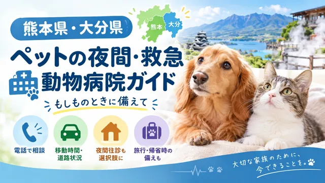 【熊本県・大分県】九州中部版　ペットの夜間・救急動物病院ガイド｜もしものときに備えて