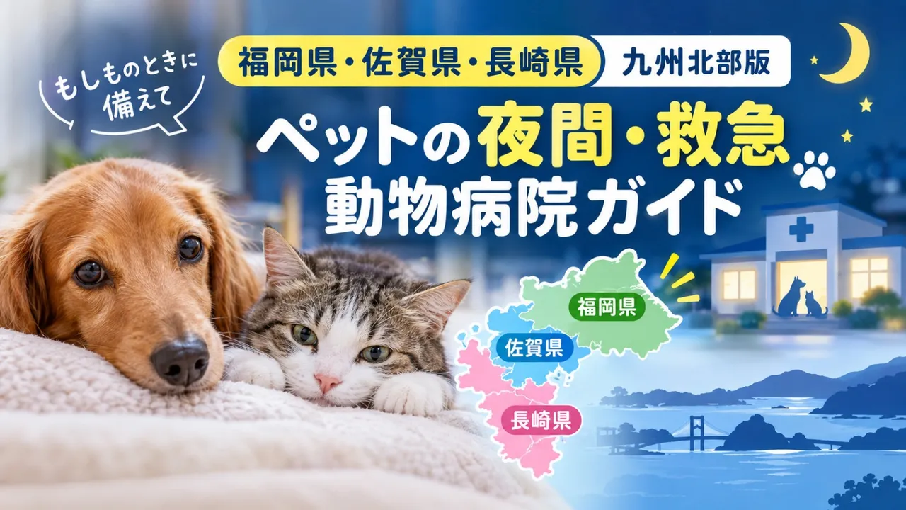 【福岡県・佐賀県・長崎県】九州北部版　ペットの夜間・救急動物病院ガイド　もしもの時に備えて