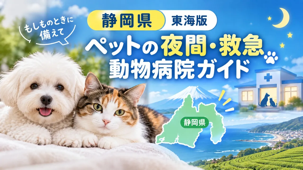 【静岡県】ペットの夜間・救急動物病院ガイド