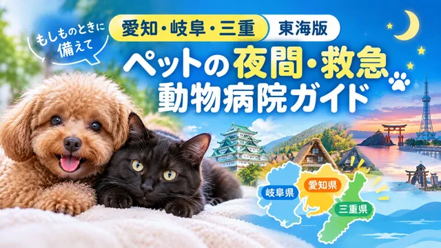 【 愛知・岐阜・三重】ペットの夜間・救急動物病院ガイド｜もしものときに備えて
