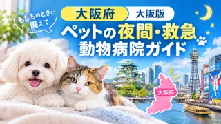 【 大阪府】ペットの夜間・救急動物病院ガイド｜もしものときに備えて