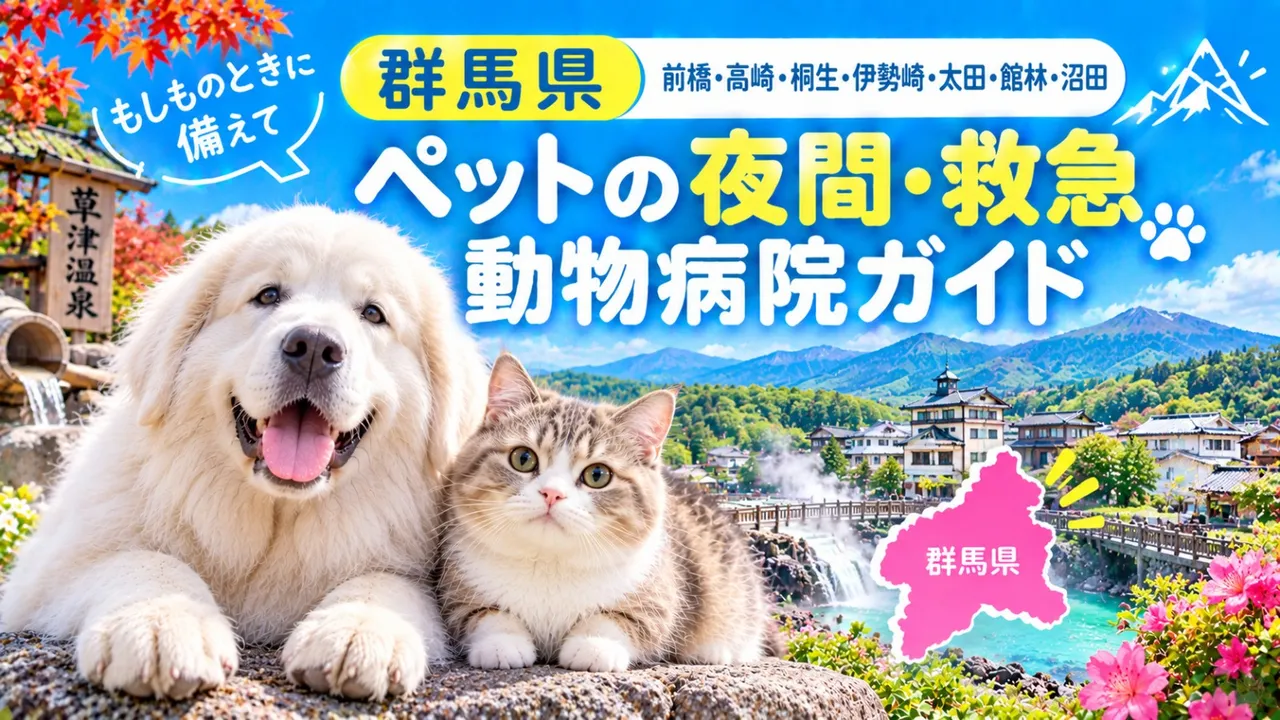 【 群馬県】ペットの夜間・救急動物病院ガイド｜もしものときに備えて