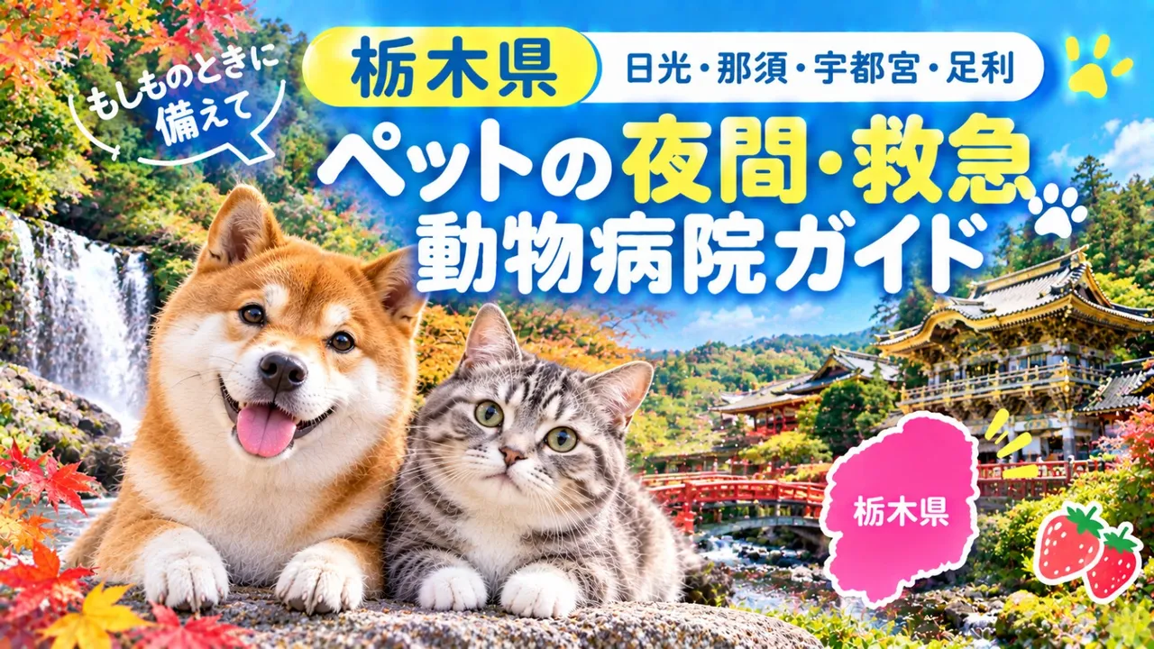 【栃木県】ペットの夜間・救急動物病院ガイド｜もしものときに備えて
