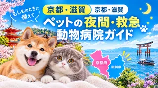 【 京都・滋賀】ペットの夜間・救急動物病院ガイド｜もしものときに備えて