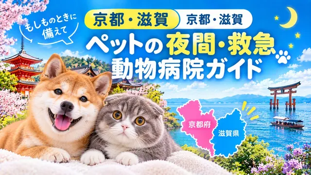 【 京都・滋賀】ペットの夜間・救急動物病院ガイド｜もしものときに備えて