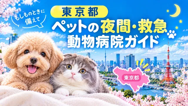 【東京都】ペットの夜間・救急動物病院ガイド｜もしものときに備えて