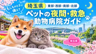 【 埼玉県】ペットの夜間・救急動物病院ガイド｜もしものときに備えて