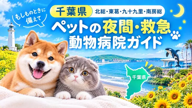 【千葉県】ペットの夜間・救急動物病院ガイド｜もしものときに備えて