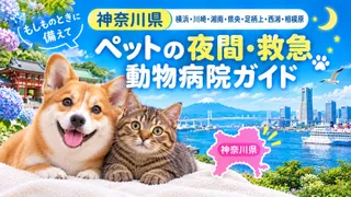 【神奈川県】ペットの夜間・救急動物病院ガイド｜もしものときに備えて