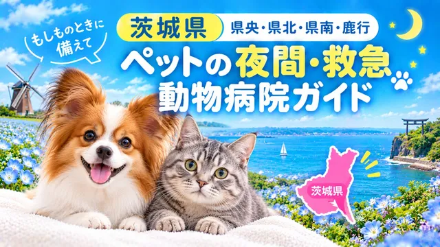 【茨城県】ペットの夜間・救急動物病院ガイド｜もしものときに備えて