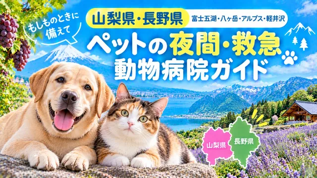 【山梨県・長野県】ペットの夜間・救急動物病院ガイド　もしもの時に備えて